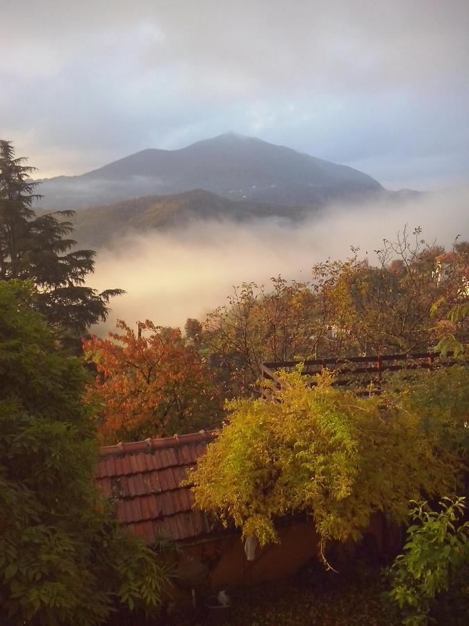 B&B Terre E Colori Sant'Olcese Buitenkant foto